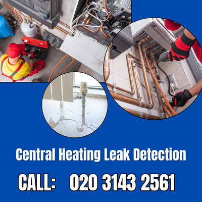 Central Heating Leak Detection Services in Bellingham | Bellingham Leak Detection