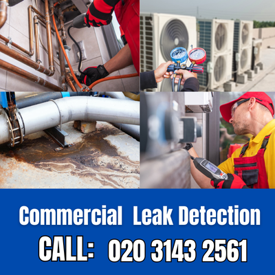 Commercial Leak Detection Services in Bellingham | Bellingham Leak Detection