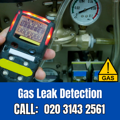 Expert Gas Leak Detection Services in Bellingham | Bellingham Leak Detection