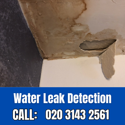 Expert Water Leak Detection Services in Bellingham | Bellingham Leak Detection